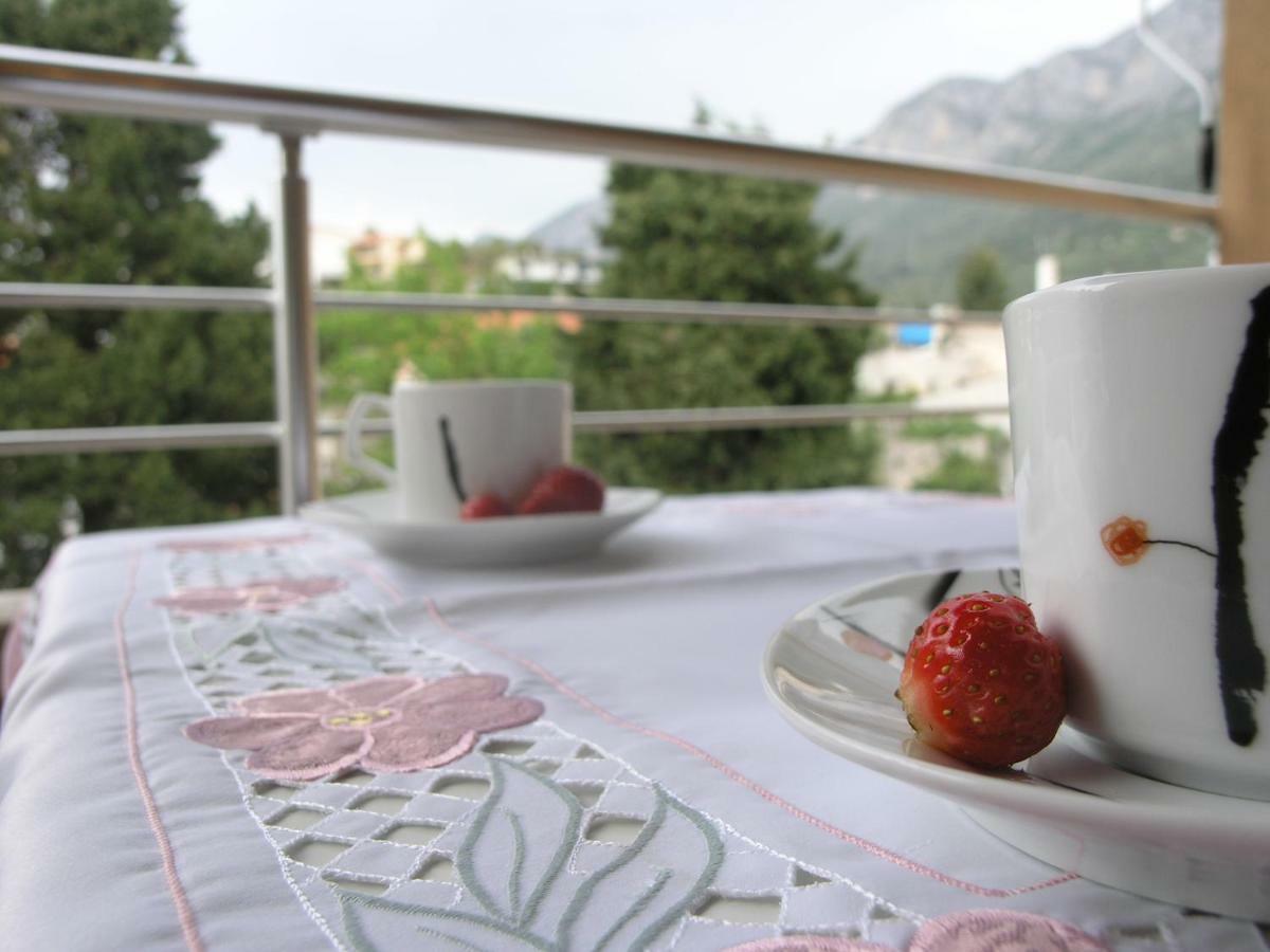 Musa Apartment Gradac  Eksteriør billede